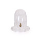 Kiotos Plastic Chastity Cage Clear